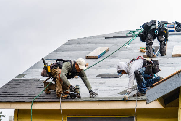 Professional Roofing technician working in Herscher, IL